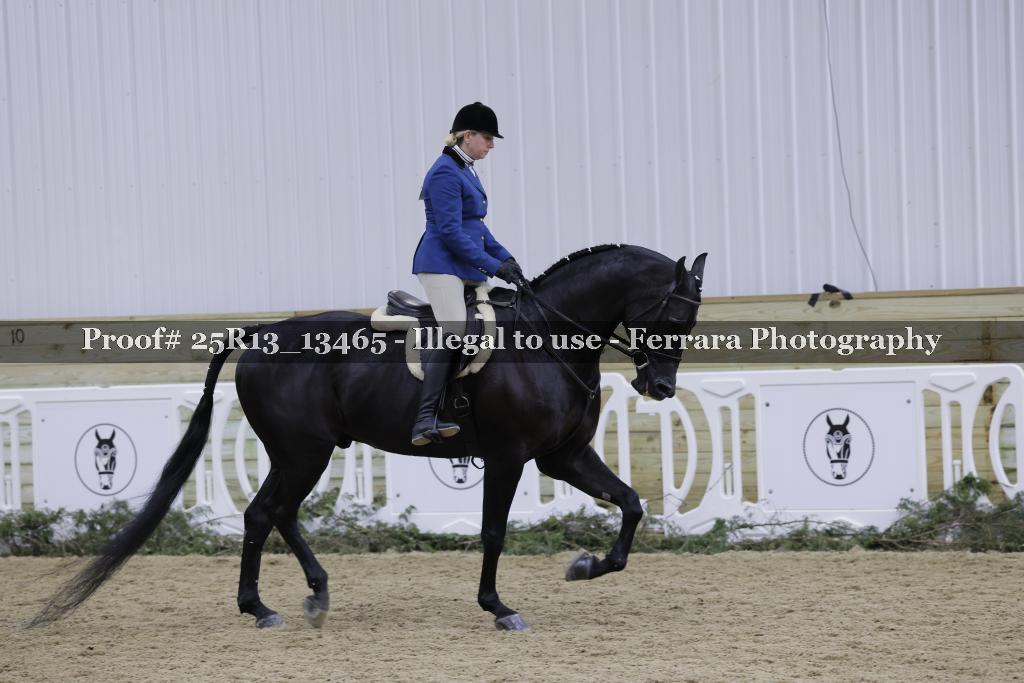 Proof Number 25R13_13465