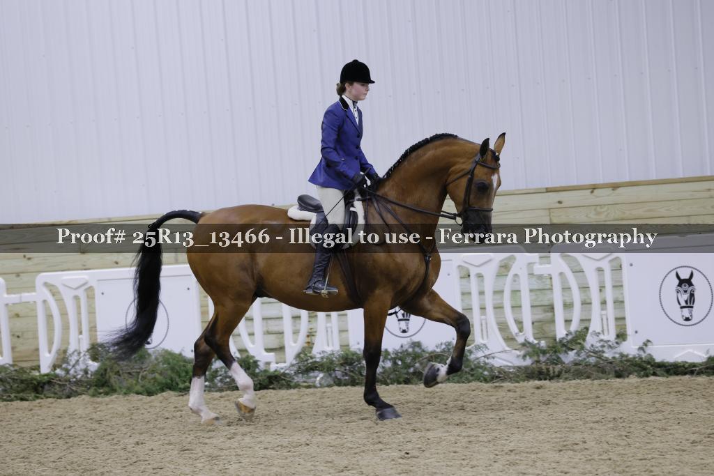 Proof Number 25R13_13466