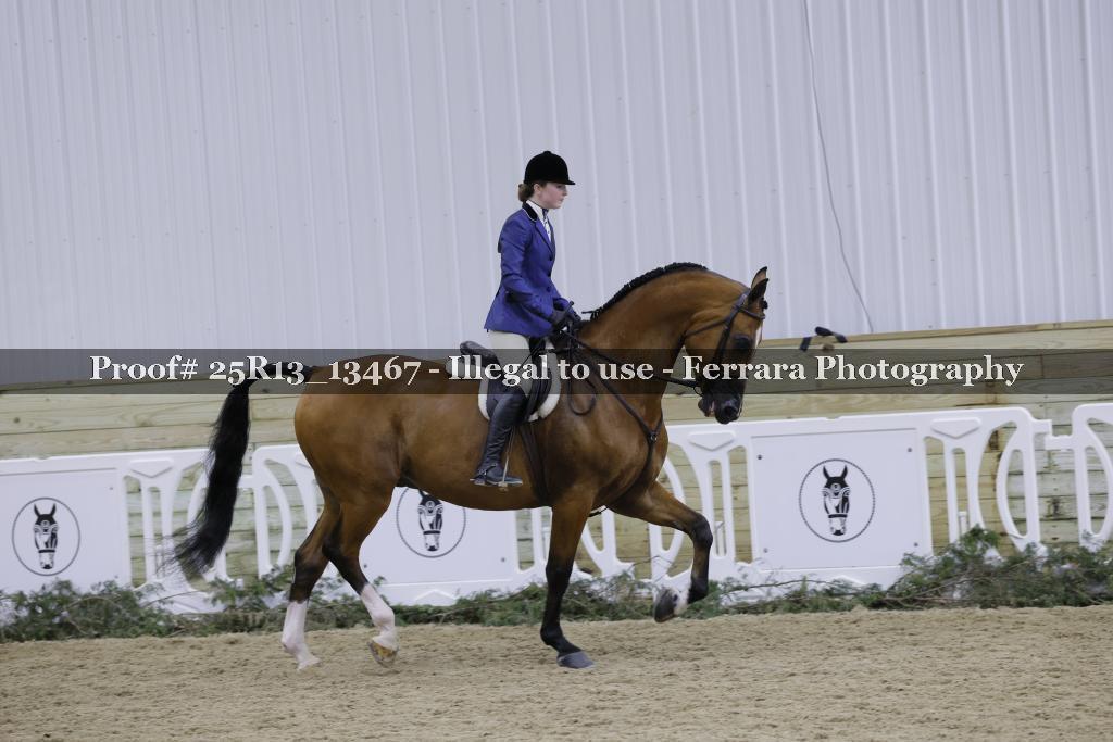Proof Number 25R13_13467