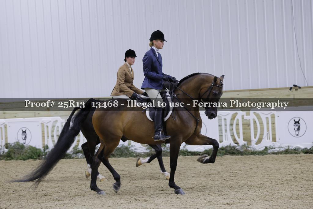 Proof Number 25R13_13468