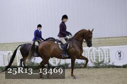 25R13_13469 thumbnail