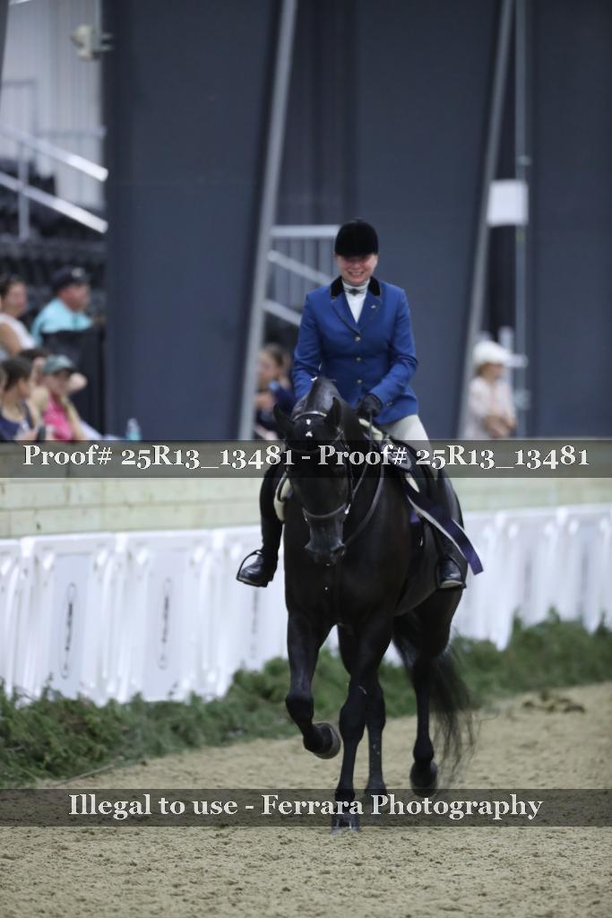 Proof Number 25R13_13481