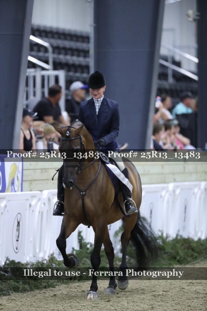 Proof Number 25R13_13483