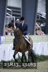 25R13_13483 thumbnail