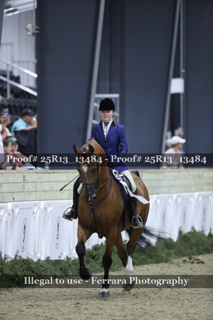 Proof Number 25R13_13484