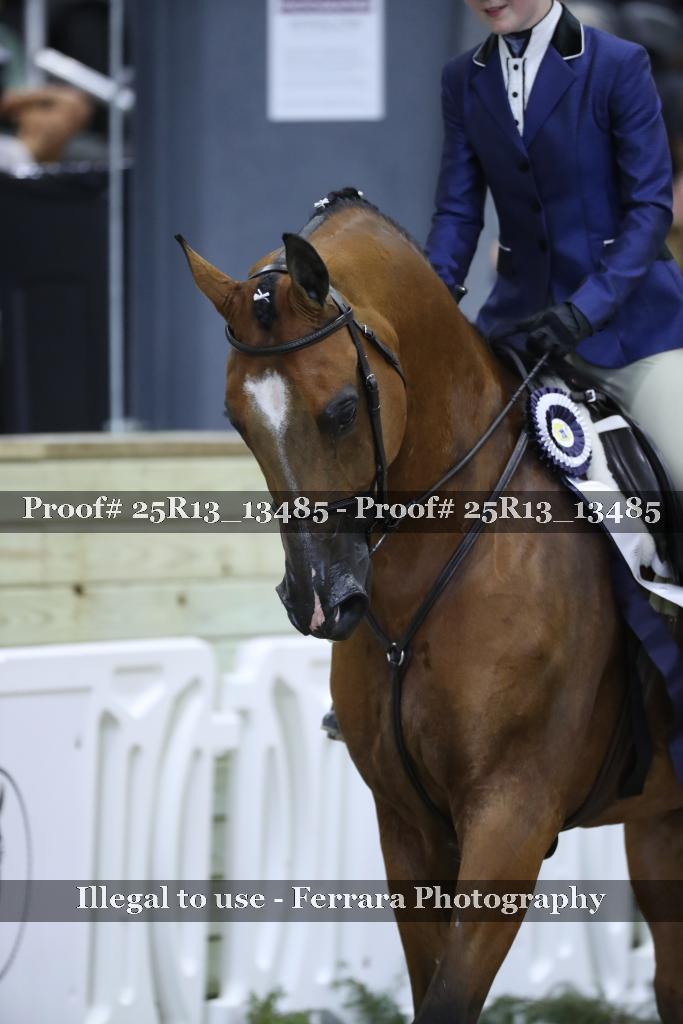 Proof Number 25R13_13485