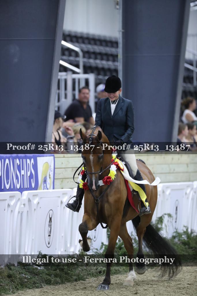 Proof Number 25R13_13487