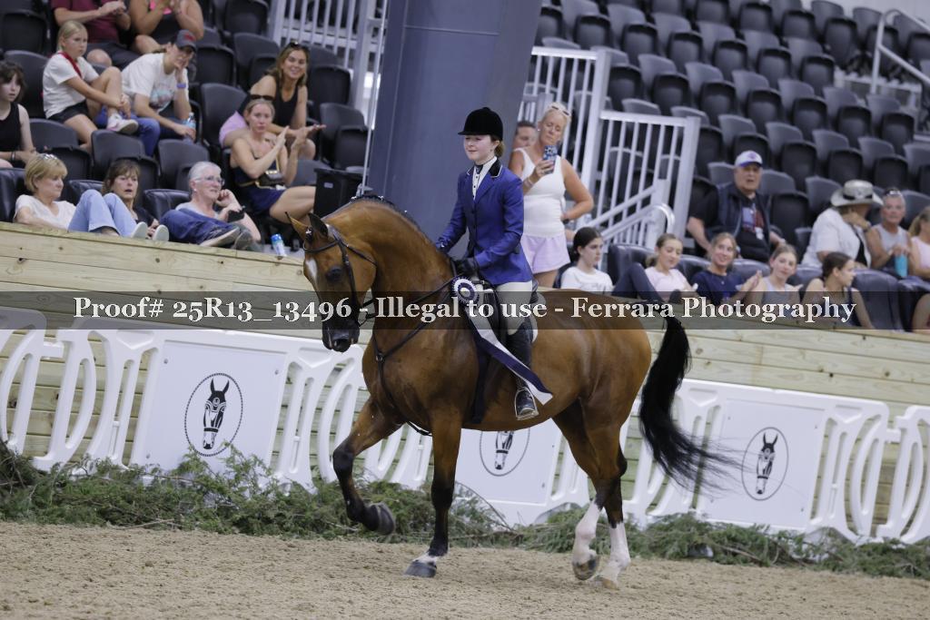 Proof Number 25R13_13496