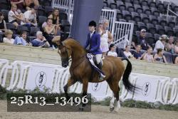 25R13_13496 thumbnail