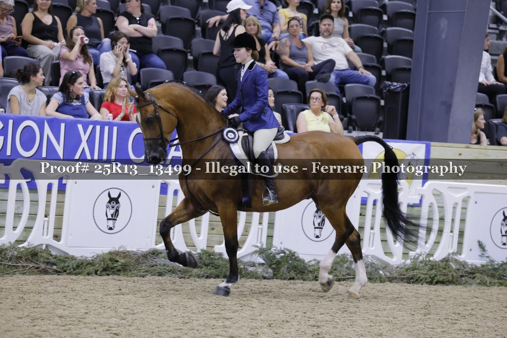 Proof Number 25R13_13499