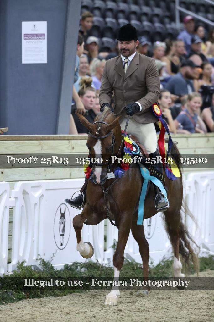 Proof Number 25R13_13500