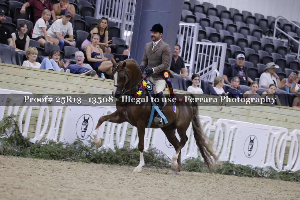 Proof Number 25R13_13508