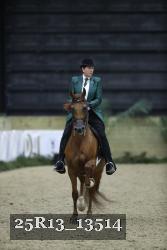 25R13_13514 thumbnail