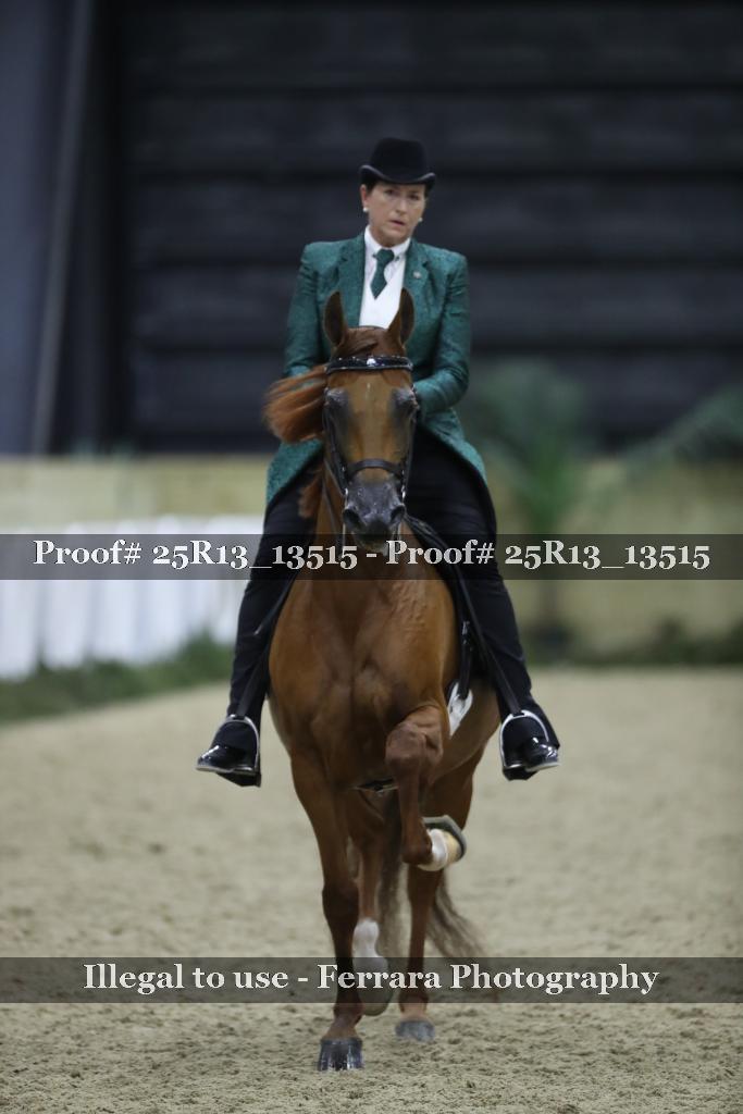 Proof Number 25R13_13515
