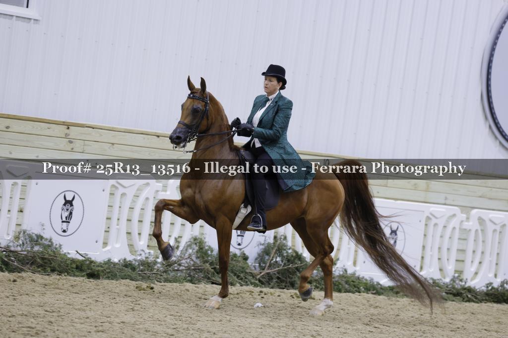 Proof Number 25R13_13516