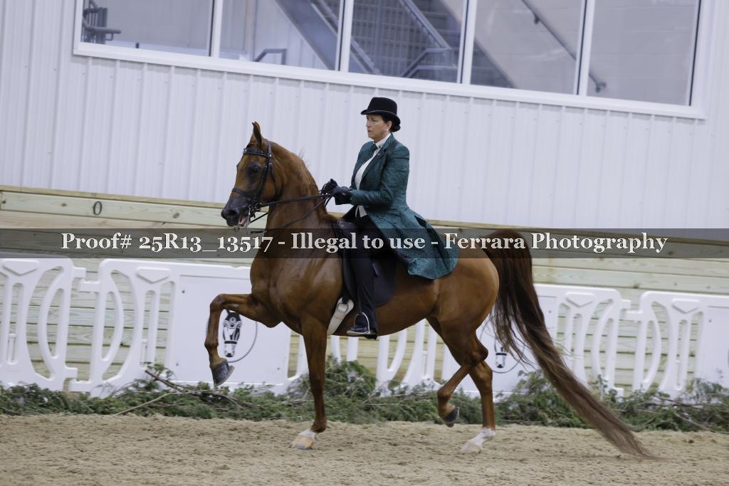 Proof Number 25R13_13517