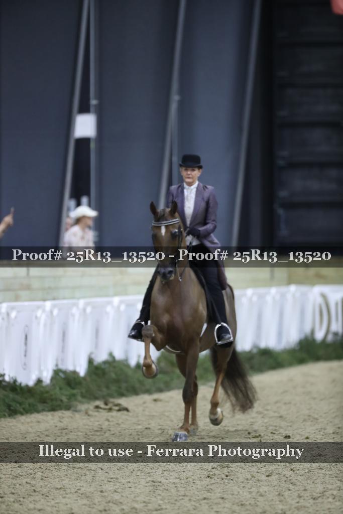Proof Number 25R13_13520