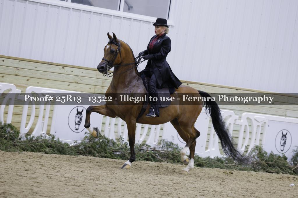Proof Number 25R13_13522