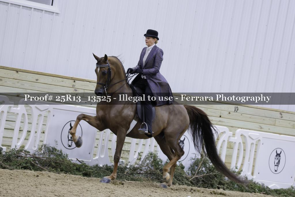 Proof Number 25R13_13525