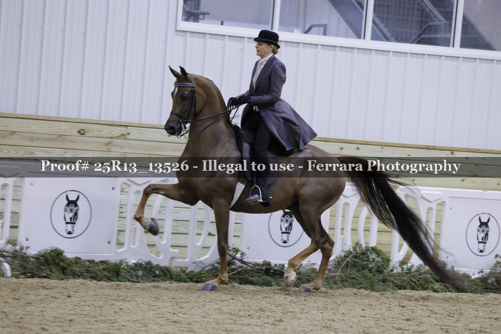 Proof Number 25R13_13526