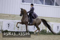 25R13_13526 thumbnail