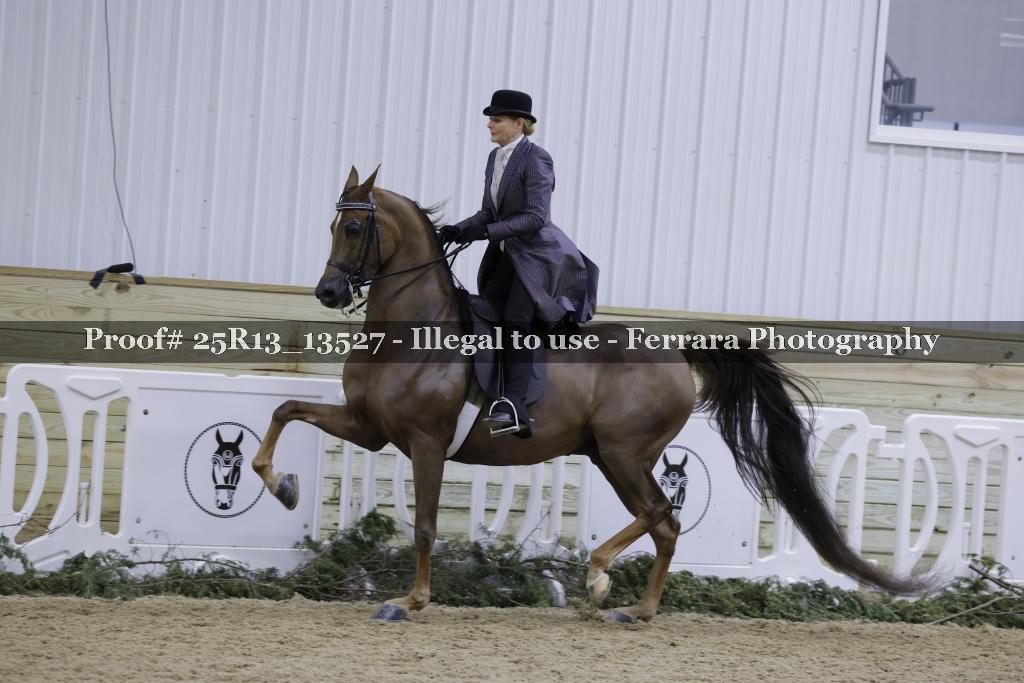 Proof Number 25R13_13527