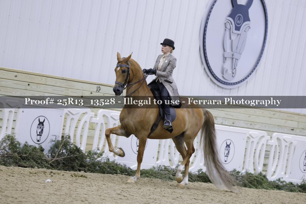 Proof Number 25R13_13528
