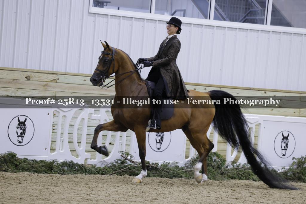Proof Number 25R13_13531