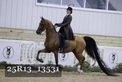 25R13_13531 thumbnail