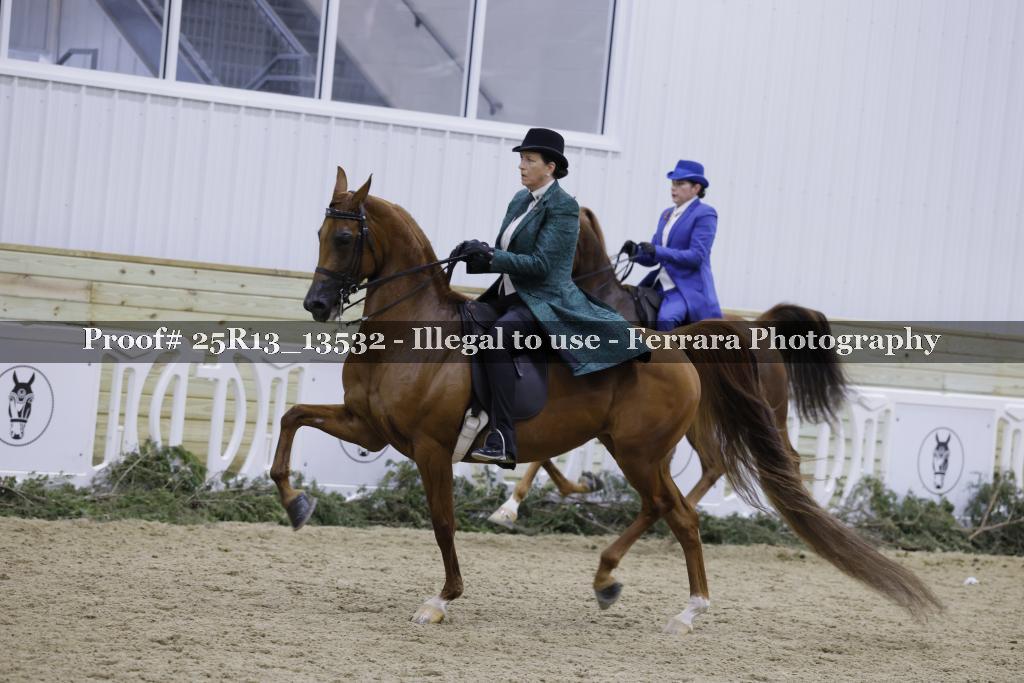 Proof Number 25R13_13532