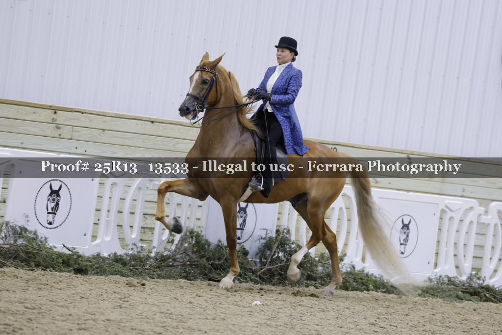 Proof Number 25R13_13533