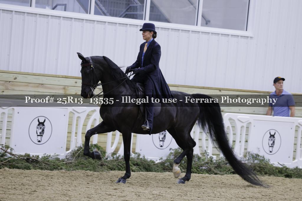 Proof Number 25R13_13535