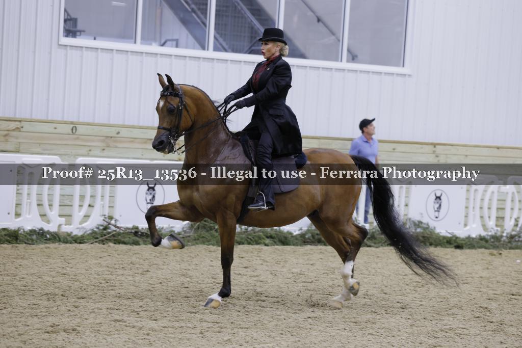 Proof Number 25R13_13536