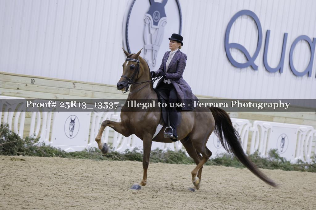 Proof Number 25R13_13537