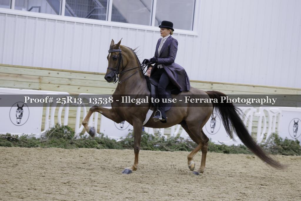 Proof Number 25R13_13538