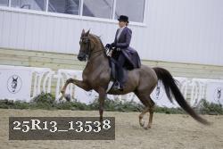 25R13_13538 thumbnail