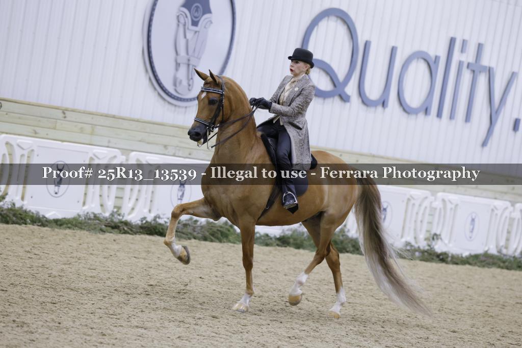 Proof Number 25R13_13539