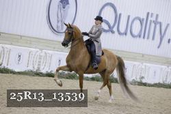 25R13_13539 thumbnail
