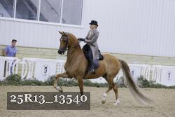 25R13_13540 thumbnail