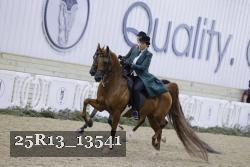 25R13_13541 thumbnail