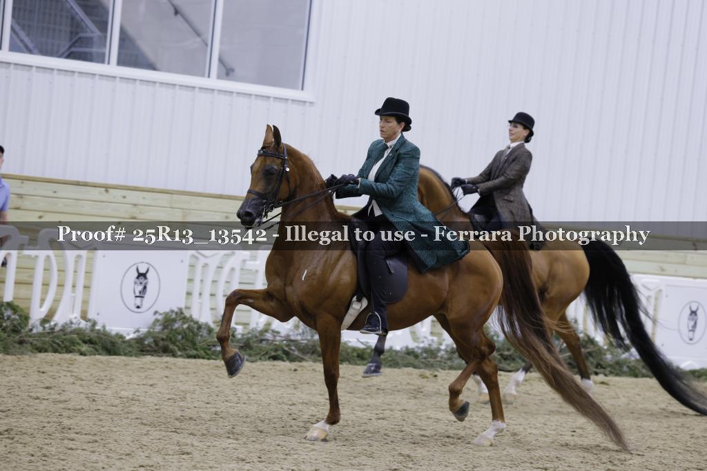 Proof Number 25R13_13542