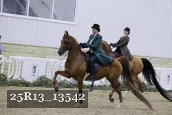 25R13_13542 thumbnail