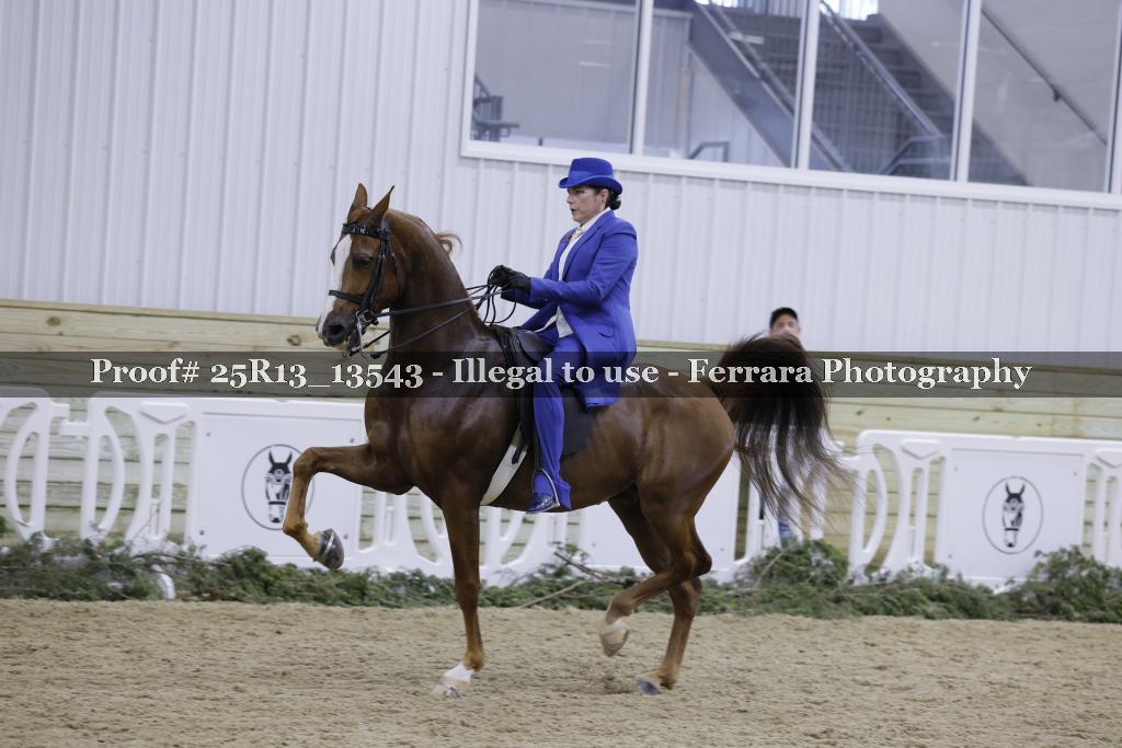 Proof Number 25R13_13543