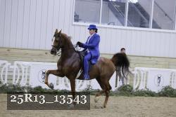 25R13_13543 thumbnail