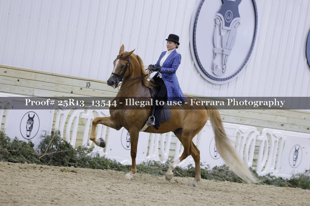 Proof Number 25R13_13544