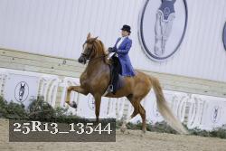 25R13_13544 thumbnail