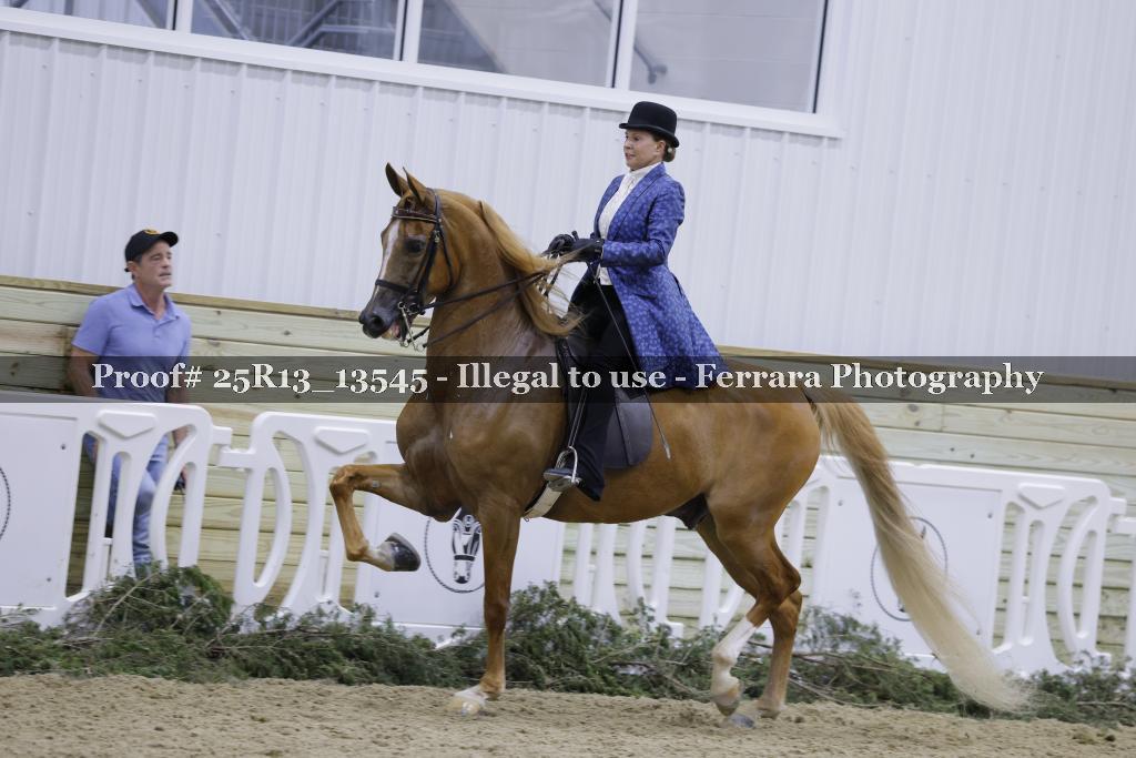 Proof Number 25R13_13545