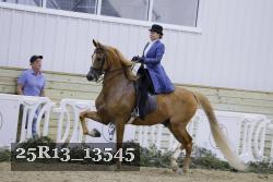 25R13_13545 thumbnail