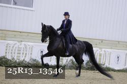 25R13_13546 thumbnail