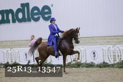25R13_13547 thumbnail